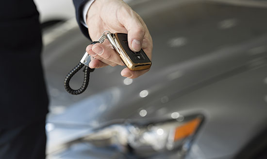 Used Car Dealer